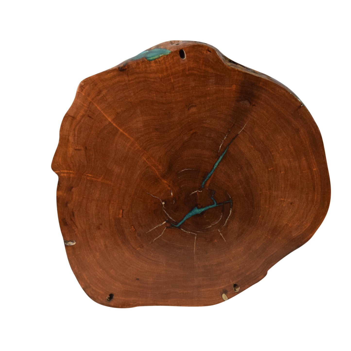 LIVE EDGE WOOD BISCUIT DÉCOR - MESQUITE